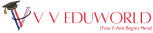vveduworld.com